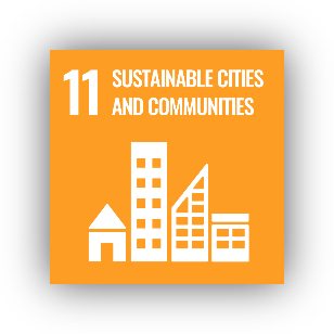 SDG 11