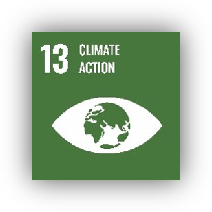 SDG 13