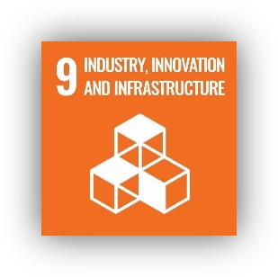 SDG 9